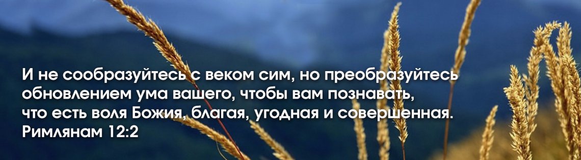 Ел воля. Воля Божья Благая угодная и совершенная Библия. Преобразуйтесь обновлением ума вашего. Чтобы вам познавать что есть Воля Божия Благая угодная и совершенная. Воля Благая угодная и совершенная.